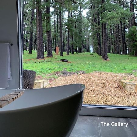 Bella Cosa Villa Mclaren Vale Luaran gambar